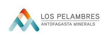 Logo Pelambres